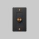 1G Black / Warm Sunset Dimmer Switch, LED