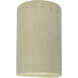 Ambiance Collection LED 9.5 inch Vanilla (Gloss) Outdoor Wall Sconce