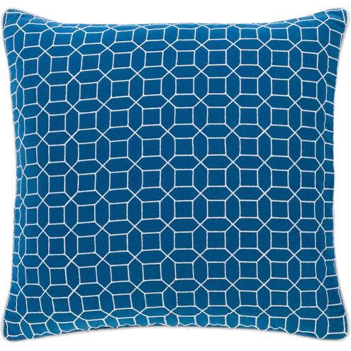 Fenna 22 X 22 inch Sky Blue/White Pillow Kit, Square