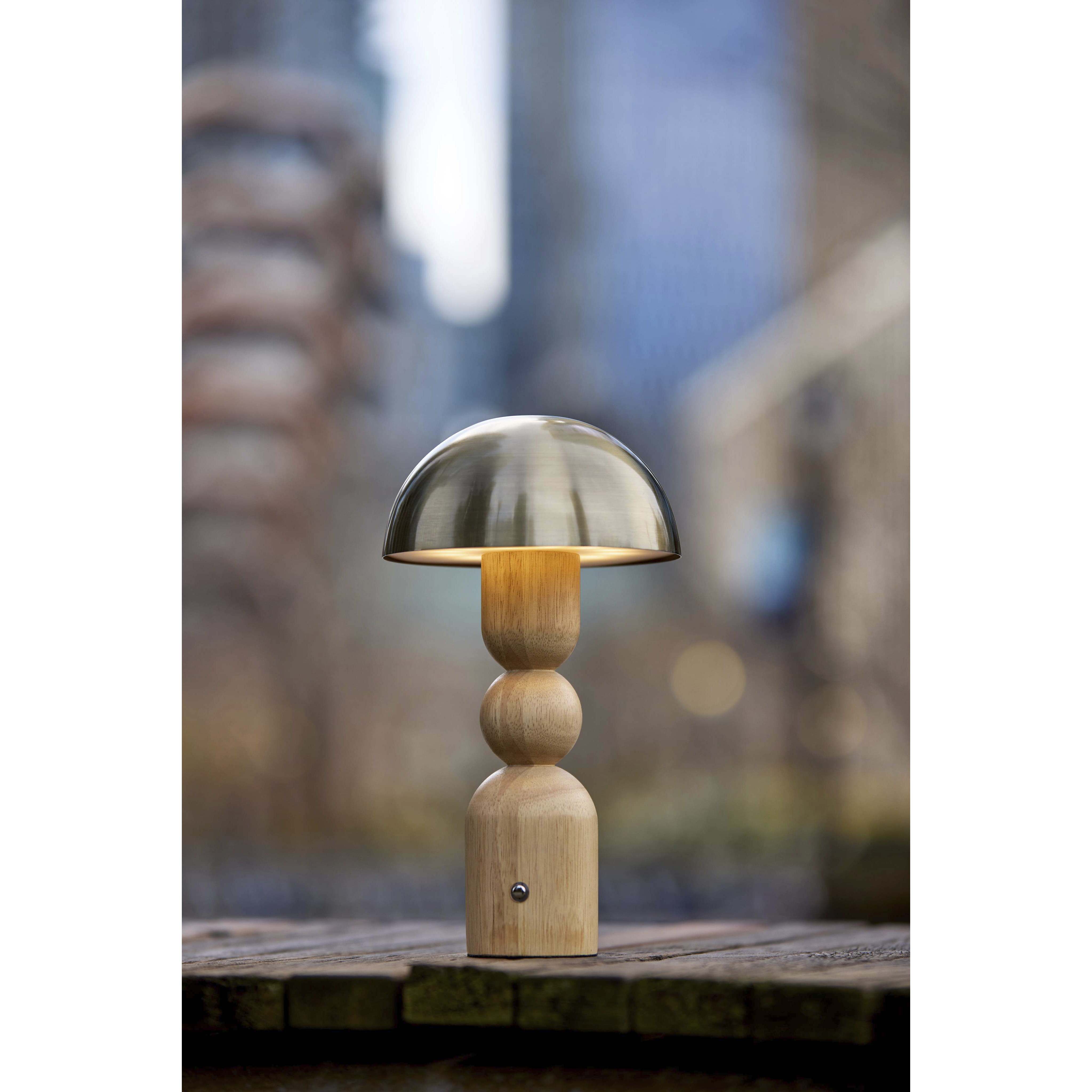 Connie 10.75 inch 2.00 watt Natural and Antique Brass Cordless Table Lamp Portable Light