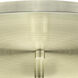 Cindyrella 3 Light 18.75 inch Antique Brass Flush Mount Ceiling Light in Cased Matte White