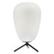 Moon 16.25 inch 5.00 watt Black Table Lamp Portable Light