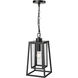 Denzell 1 Light 8.25 inch Powder Coated Black Outdoor Hanging Lantern