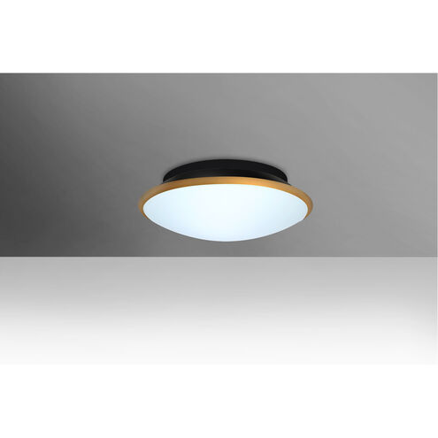 Silk 1 Light 10 inch Flush Mount Ceiling Light
