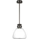 Avroko Morgan LED 12 inch Burnished Bronze with Clear Glass Pendant Ceiling Light