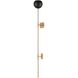 Scarab Sconce Wall Light