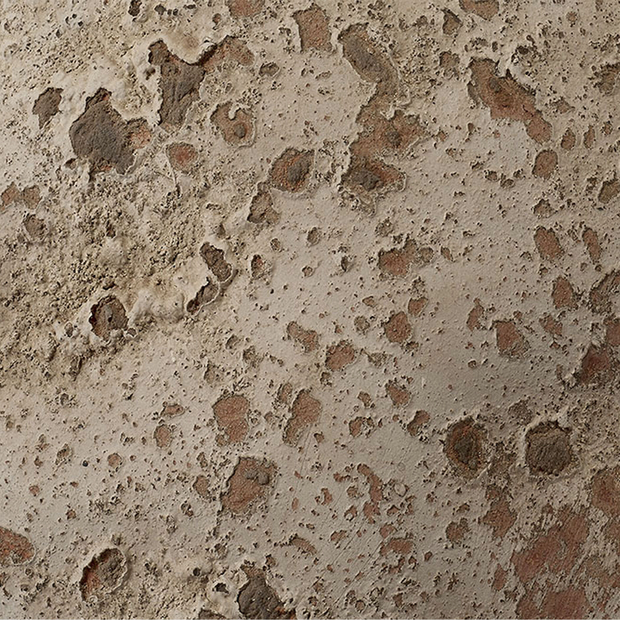 Branch 11 X 7 inch Decorative Vase