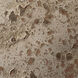 Root 15.75 X 8.5 inch Decorative Vase