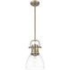 Yep Duncan 1 Light 8.88 inch Aged Brass Pendant Ceiling Light in Clear Glass