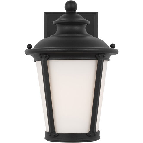Cape May 1 Light 10.5 inch Black Outdoor Wall Lantern, Small