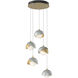 Brooklyn 5 Light 16 inch Modern Brass and Vintage Platinum Pendant Ceiling Light in Modern Brass/Vintage Platinum