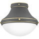 Oliver LED 14 inch Dark Matte Grey with Bright Brass Indoor Flush Mount Ceiling Light