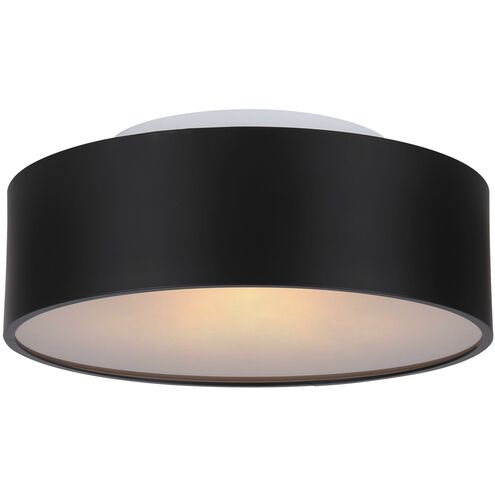 Dexter 2 Light 13 inch Matte Black Flush Mount Ceiling Light