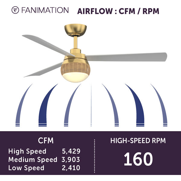 Paget 52 inch Brushed Satin Brass with Matte White Blades Fan-Uni
