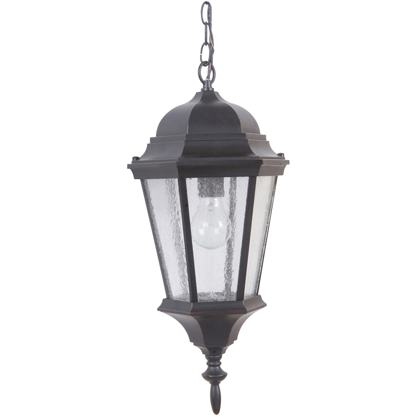 Chadwick 1 Light 9.41 inch Outdoor Pendant/Chandelier