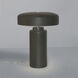 Portable 16.5 inch 60 watt Reflecting Pool Table Lamp Portable Light