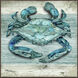 Northpoint Sealife Teal and Turquoise and Gray Canvas