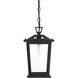Berks 1 Light 5.5 inch Black Outdoor Pendant