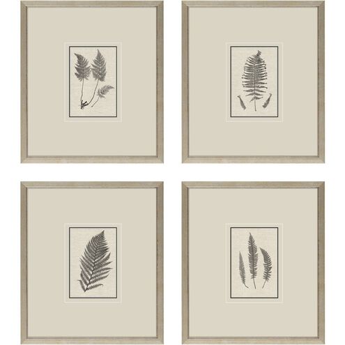 Florals Collection Brown Framed Art