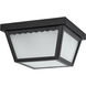 Brentwood LED 9 inch Black Outdoor Flush Mount