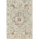 Avon 120 X 96 inch Light Sage/Light Beige/Brown/Olive/Blue/Camel Handmade Rug in 8 x 10, Rectangle