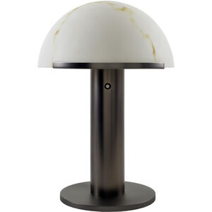 Etoile 23 inch 40 watt Black Accent Table Lamp Portable Light
