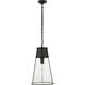 Thomas O'Brien Robinson 1 Light 11.75 inch Bronze Pendant Ceiling Light in Seeded Glass, Large