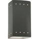 Ambiance LED 9.5 inch Pewter Green Outdoor Wall Sconce in 1000 Lm LED