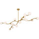 Curven 16 Light 25.75 inch Legacy Brass Chandelier Ceiling Light
