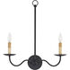Saxon 2 Light 19.75 inch Zanzibar Black Wall Sconce Wall Light