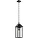Prin 1 Light 9 inch Black Outdoor Hanging Pendant
