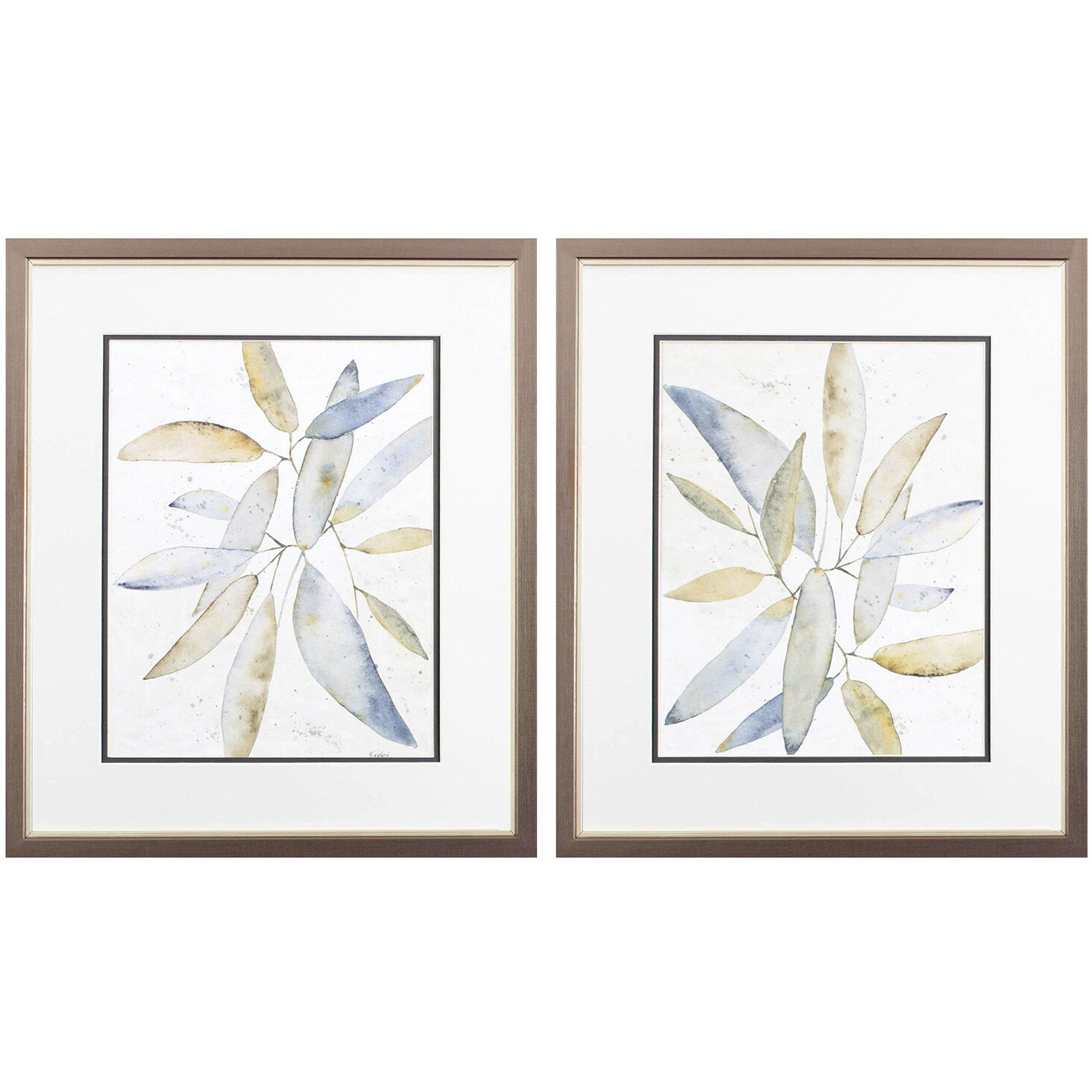 Florals Neutral and Blue and Green and Brown Framed Art, Propac