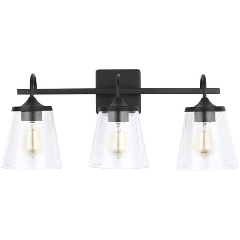 Jayne 3 Light 24.25 inch Matte Black Vanity Light Wall Light