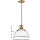 Argo LED 14 inch Heritage Brass Indoor Pendant Ceiling Light in Heritage Brass / Clear Seedy