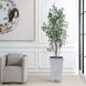 Sonora Olive Textured Gray Concrete and Green Tree In Planter
