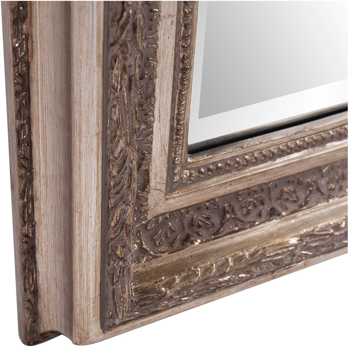 Nancy 78 X 40 inch Champagne Silver Wall Mirror