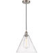 Edison Cone LED 12 inch Brushed Satin Nickel Mini Pendant Ceiling Light in Clear Glass