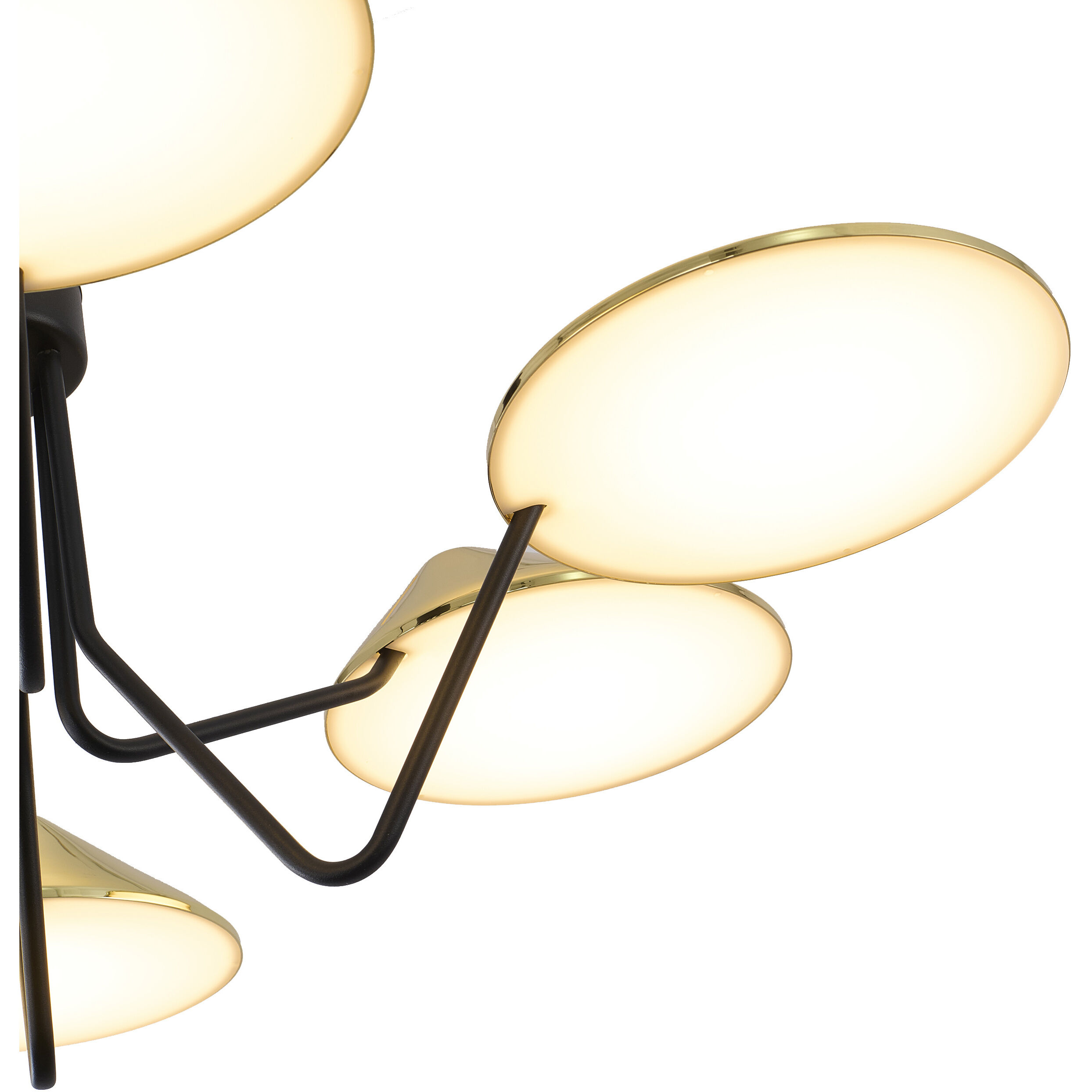 Canada LED 33.5 inch Black & Shiny Brass Chandelier Ceiling Light