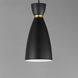 Carillon 1 Light 7 inch Black with Satin Brass Mini Pendant Ceiling Light in Black and Satin Brass, Elongated