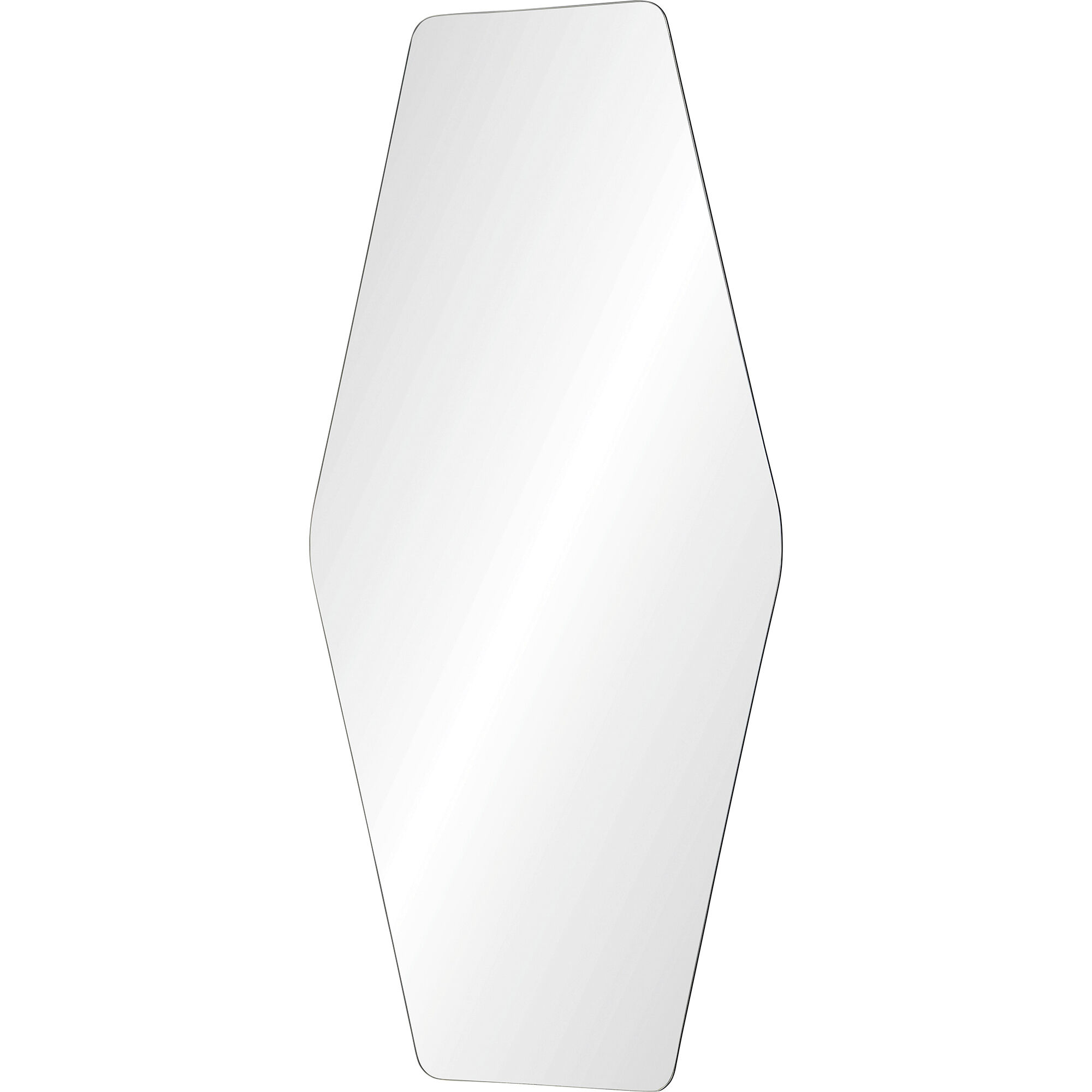 Switzer 48 X 24 inch Wall Mirror