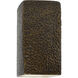 Ambiance Rectangle LED 9.5 inch Hammered Polished Brass Outdoor Wall Sconce, Small