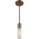 Fusion Collection - Rimini Family 1 Light 2 inch Brushed Brass Pendant Ceiling Light, EVOLV