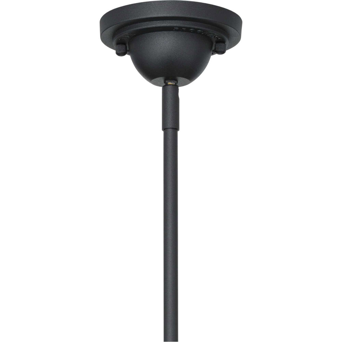 Cedar Springs 1 Light 13 inch Black Outdoor Hanging Light