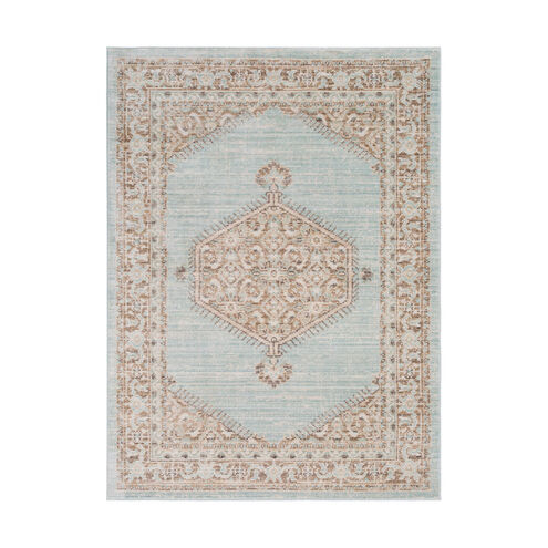 Germili 65 X 47 inch Sea Foam/Camel/Cream Rugs, Polyester