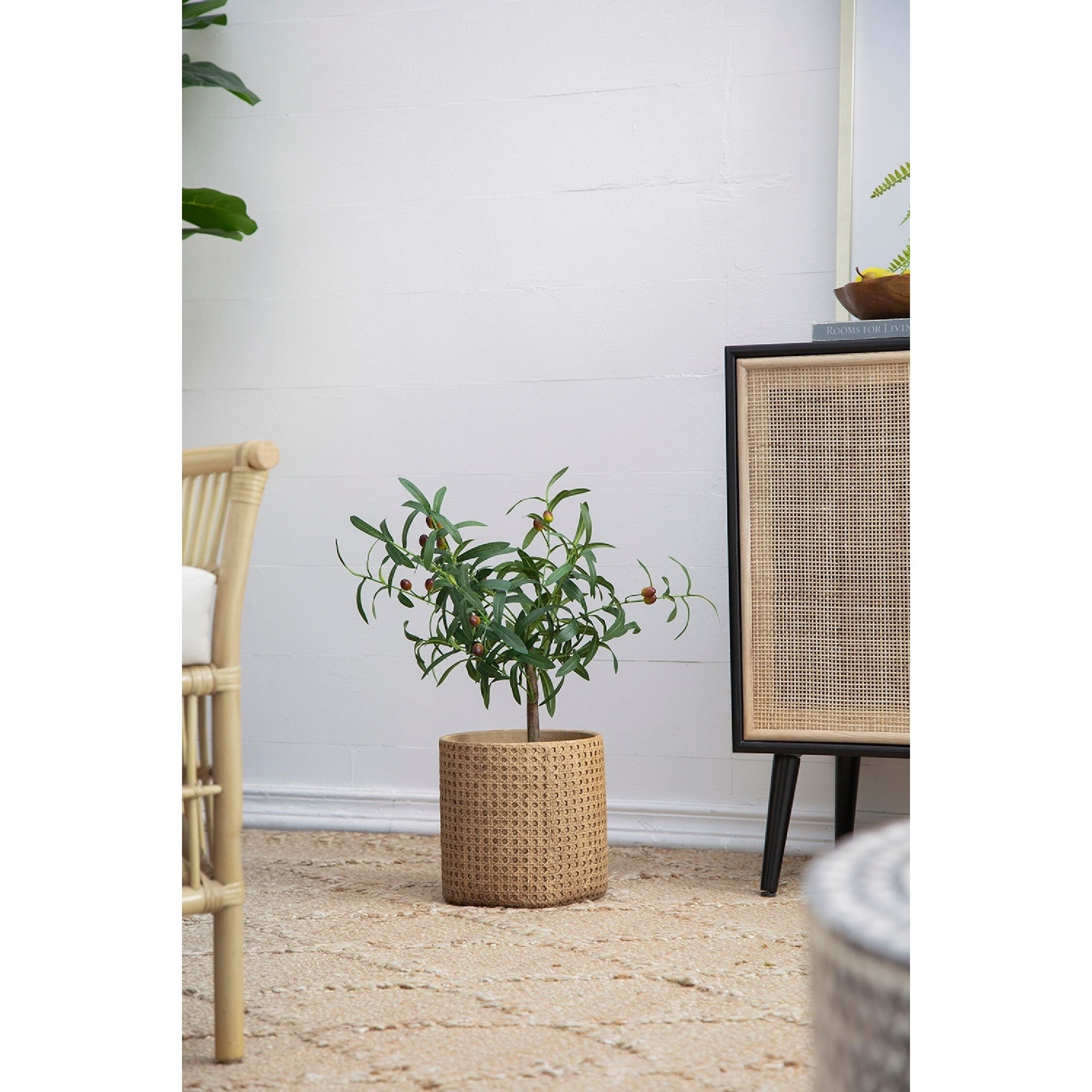 Olive Tree Green and Black Faux Plant