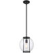 Farmhouse 1 Light 10 inch Matte Black Outdoor Hanging Lantern