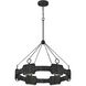 Lisa McDennon Raffi LED 30 inch Carbon Black Chandelier Ceiling Light