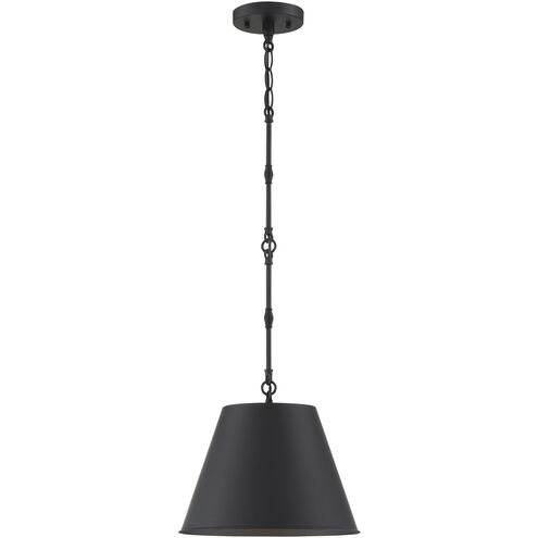 Alden 1 Light 12 inch Matte Black Pendant Ceiling Light, Essentials