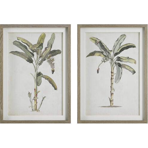 Banana Palm 35 X 25 inch Framed Prints, Set of 2