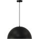 Huck LED 19.5 inch Matte Black Pendant Ceiling Light